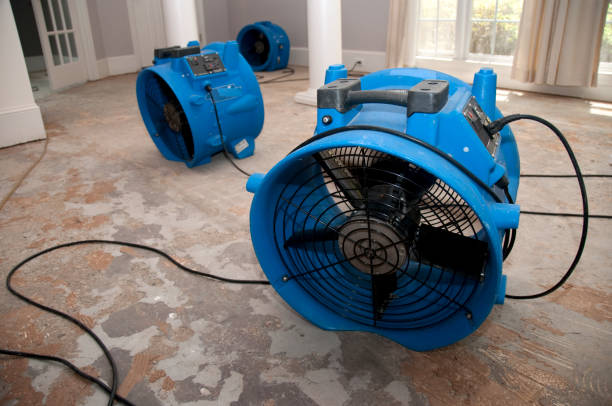 Best Water damage restoration near me  in San Diego, TX