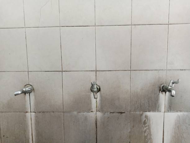 Best Water damage mitigation services  in San Diego, TX
