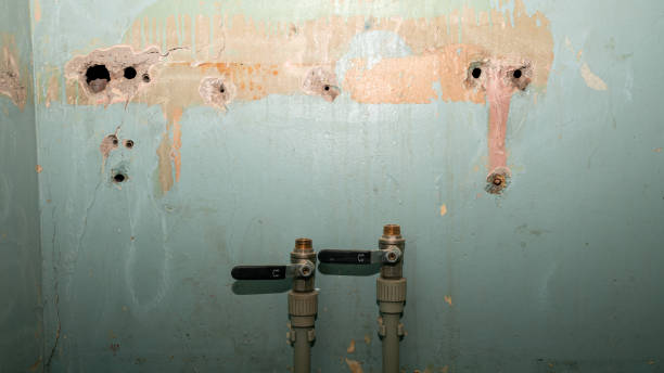 Best 24/7 water damage repair  in San Diego, TX