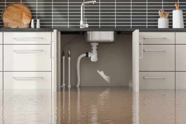 Best Carpet water damage restoration  in San Diego, TX