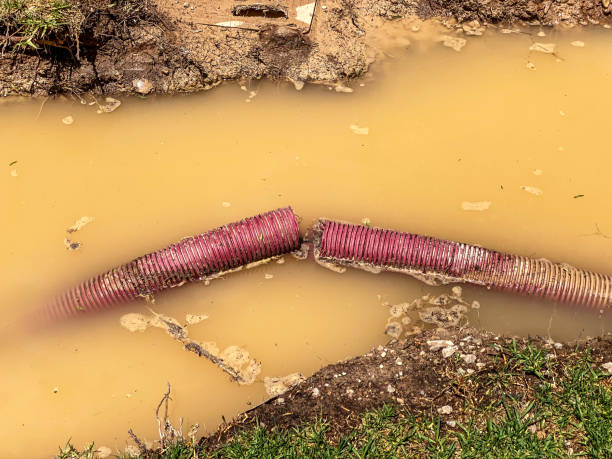 Water damage restoration experts in San Diego, TX