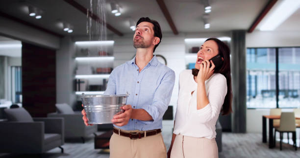 Best Water damage cleanup near me  in San Diego, TX