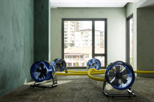 Best Water damage restoration experts  in San Diego, TX