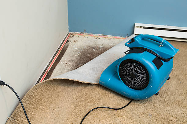 Best Water damage restoration specialists  in San Diego, TX